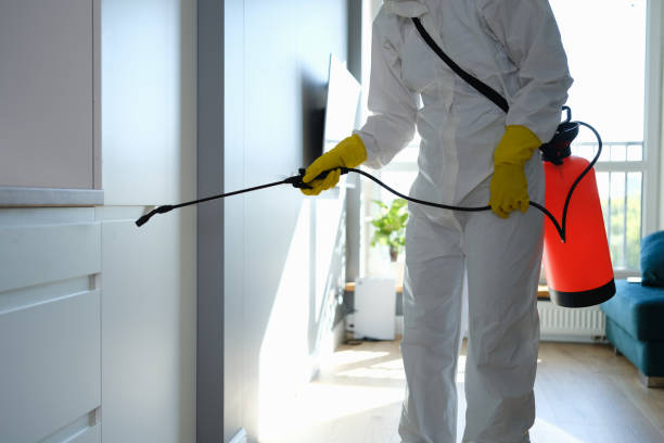 Best Office Mold Removal Services  in USA